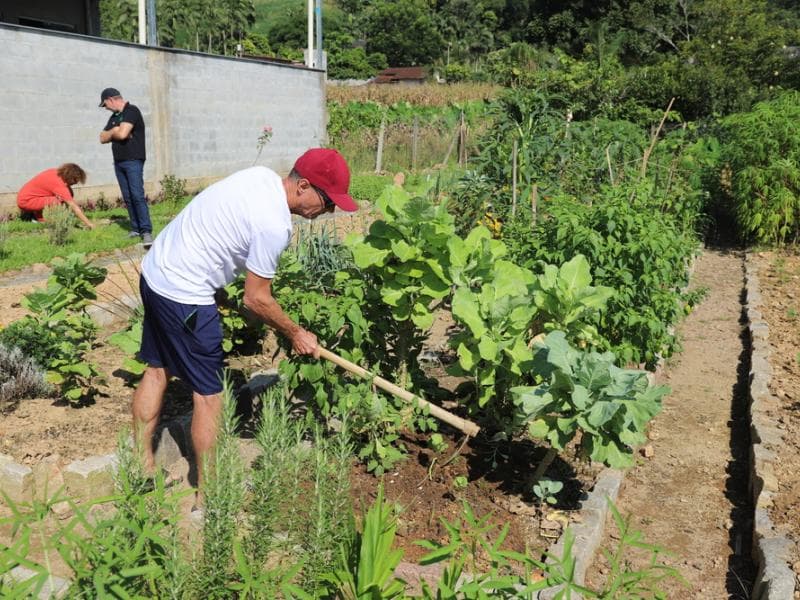 Hortas comunitárias do Programa Germinar recebem novas mudas