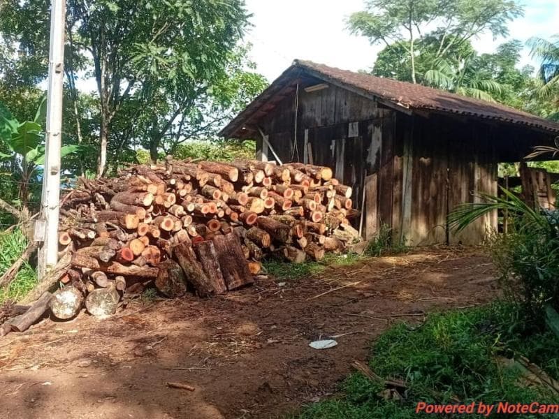 Fujama identifica desmatamento ilegal em área rural do Município