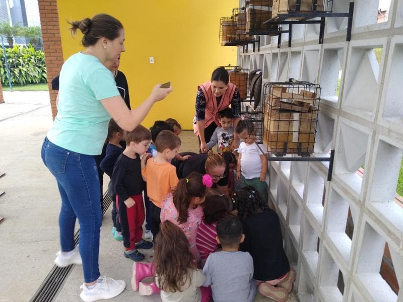 Alunos do CMEI Carlo Andrei Emmendöerfer conhecem o Meliponário