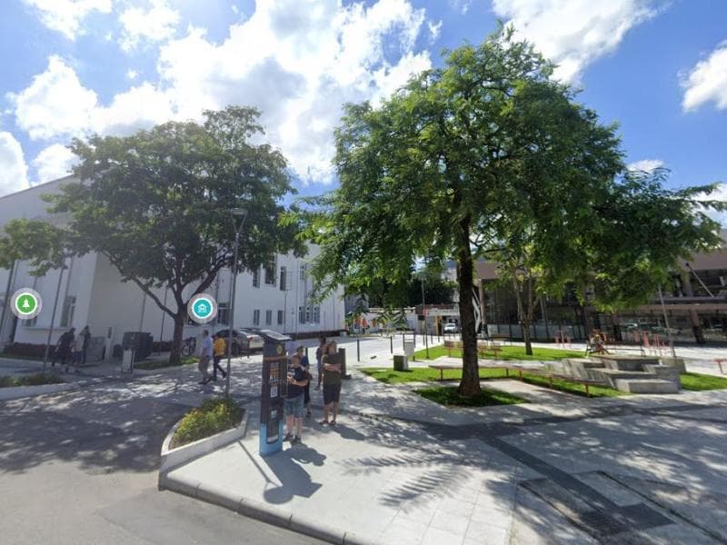 Poda e limpeza de árvores nos fundos do Museu Emílio da Silva