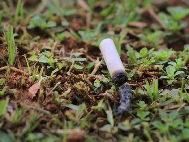 Saúde promove ações alusivas ao Dia Mundial sem Tabaco
