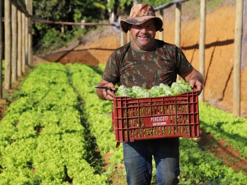 Frutas e hortaliças também vão à escola em Jaraguá do Sul