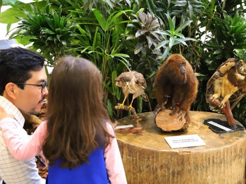 Exposição no shopping abre a programação do mês do meio ambiente