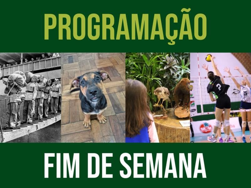 Confira a agenda deste fim de semana em Jaraguá do Sul