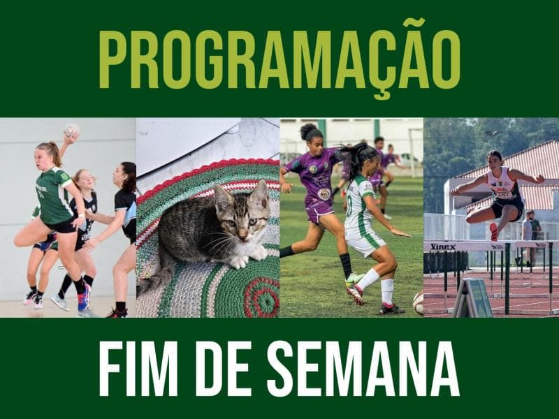 Confira a agenda deste fim de semana em Jaraguá do Sul