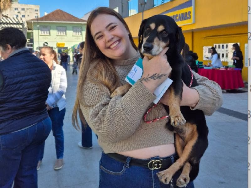 Nove pets ganham novos lares após Feira de Adoção na Praça