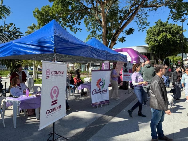 Comdim e entidades promovem evento alusivo ao Agosto Lilás
